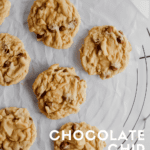 homemade chwey and soft chocolate chip cookie recipe