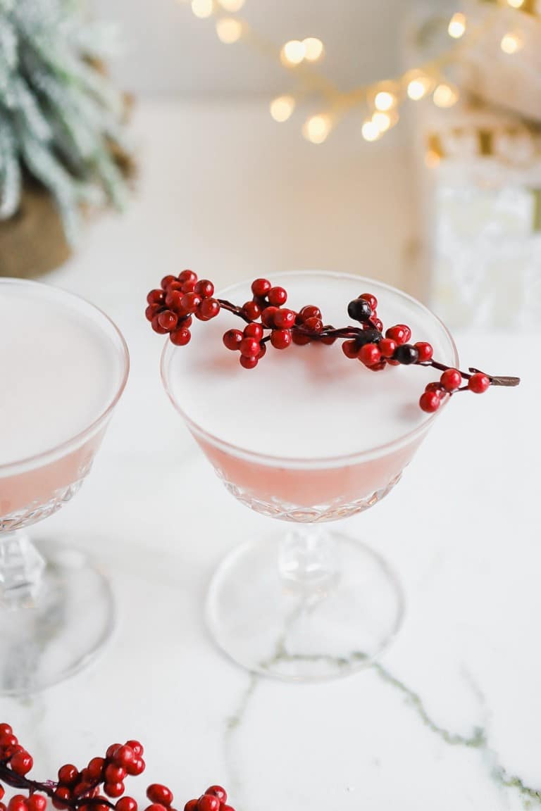 close up shot of the best christmas gin cocktail with fresh cranberries on top