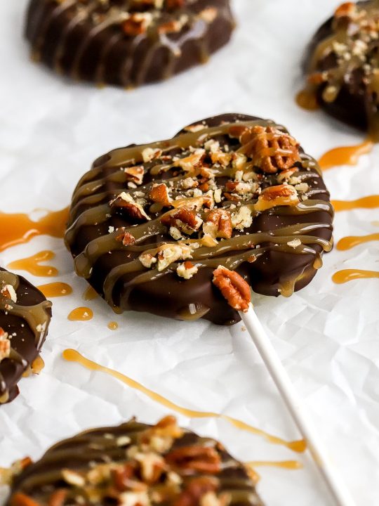 Chocolate Covered Apple Slices