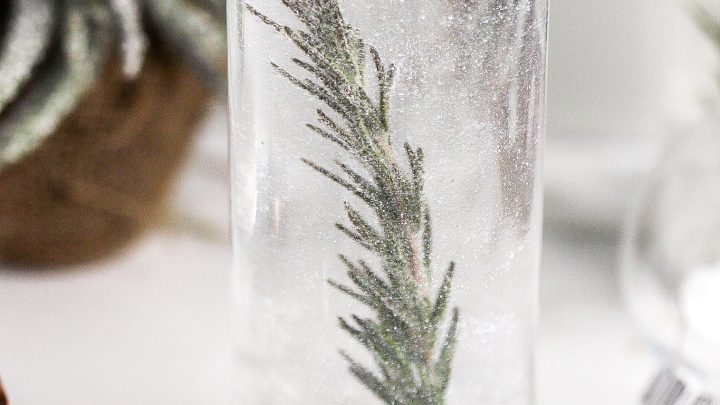 Snow Globe Gin & Tonic Recipe – Ficks Beverage Co