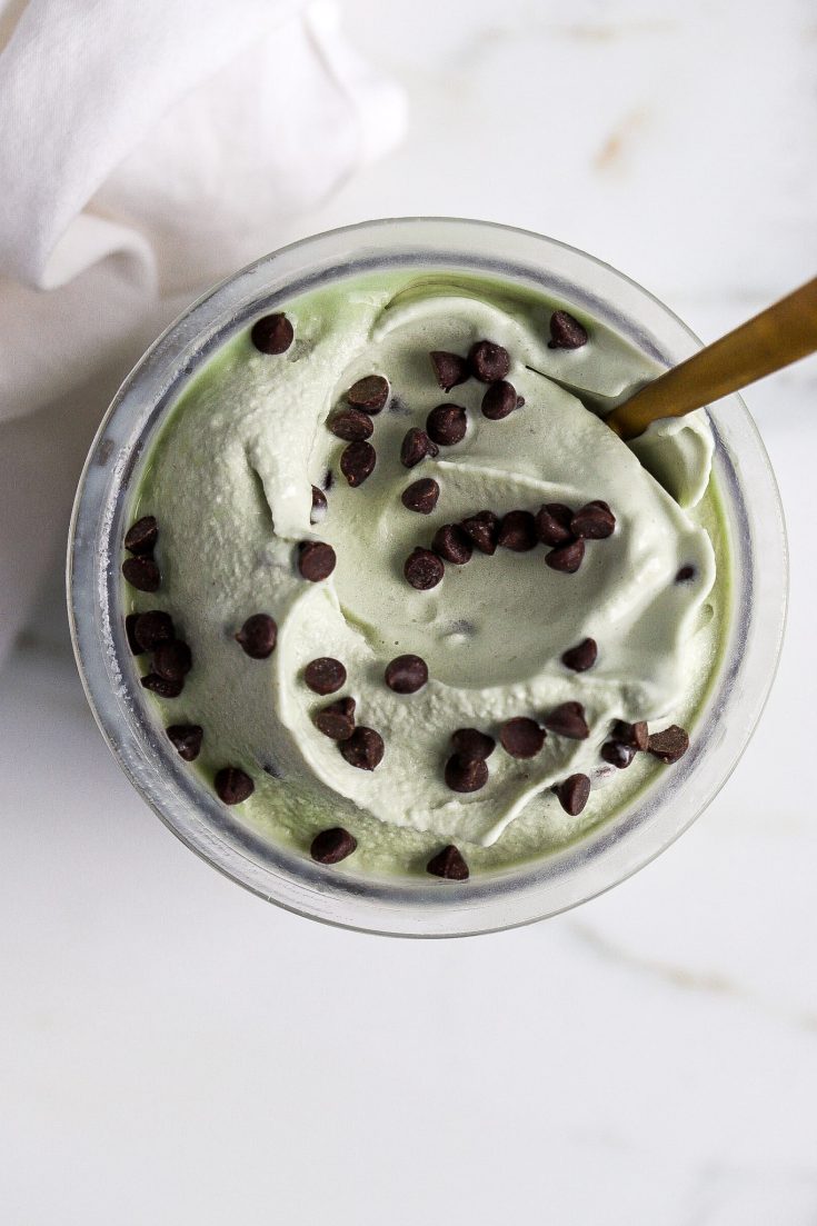 Mint Chip Protein Ice Cream (Ninja Creami Recipe) - Basics with Bails